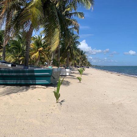 All Seasons Belize Hopkins Extérieur photo