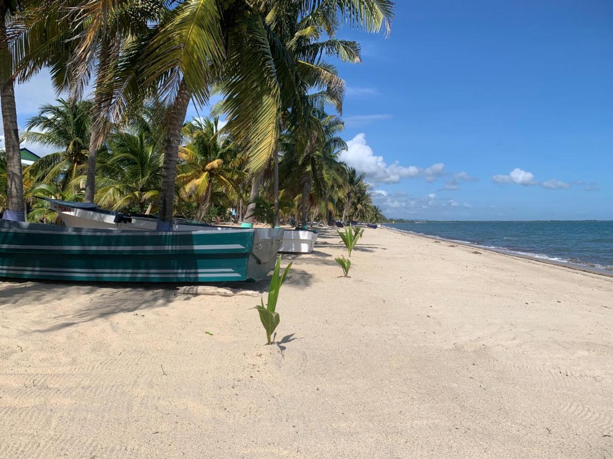 All Seasons Belize Hopkins Extérieur photo