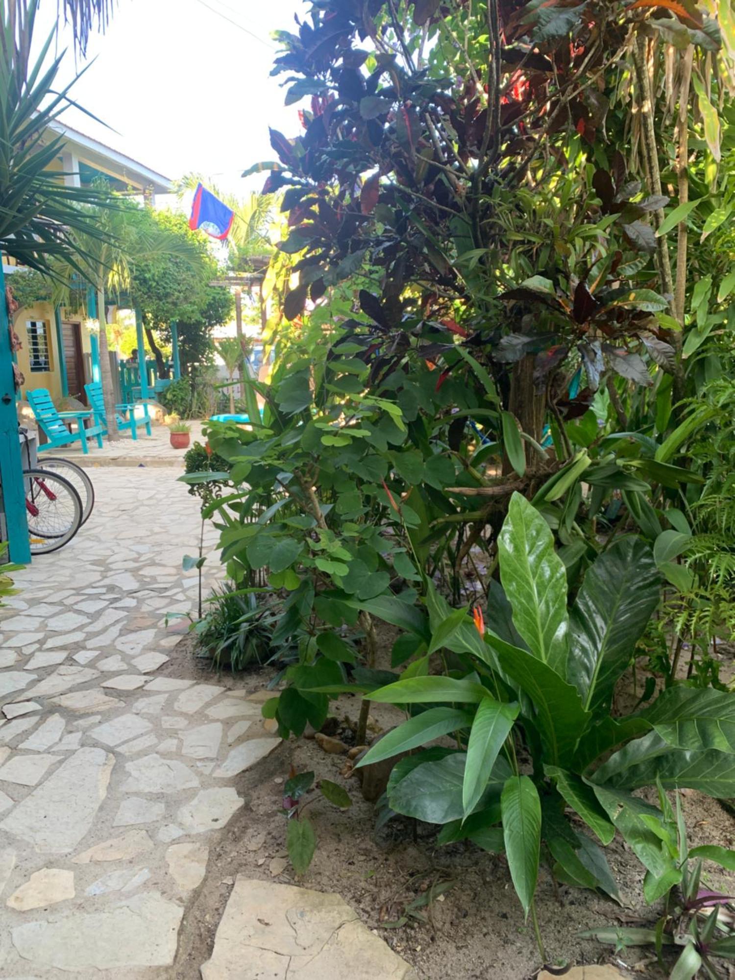 All Seasons Belize Hopkins Extérieur photo