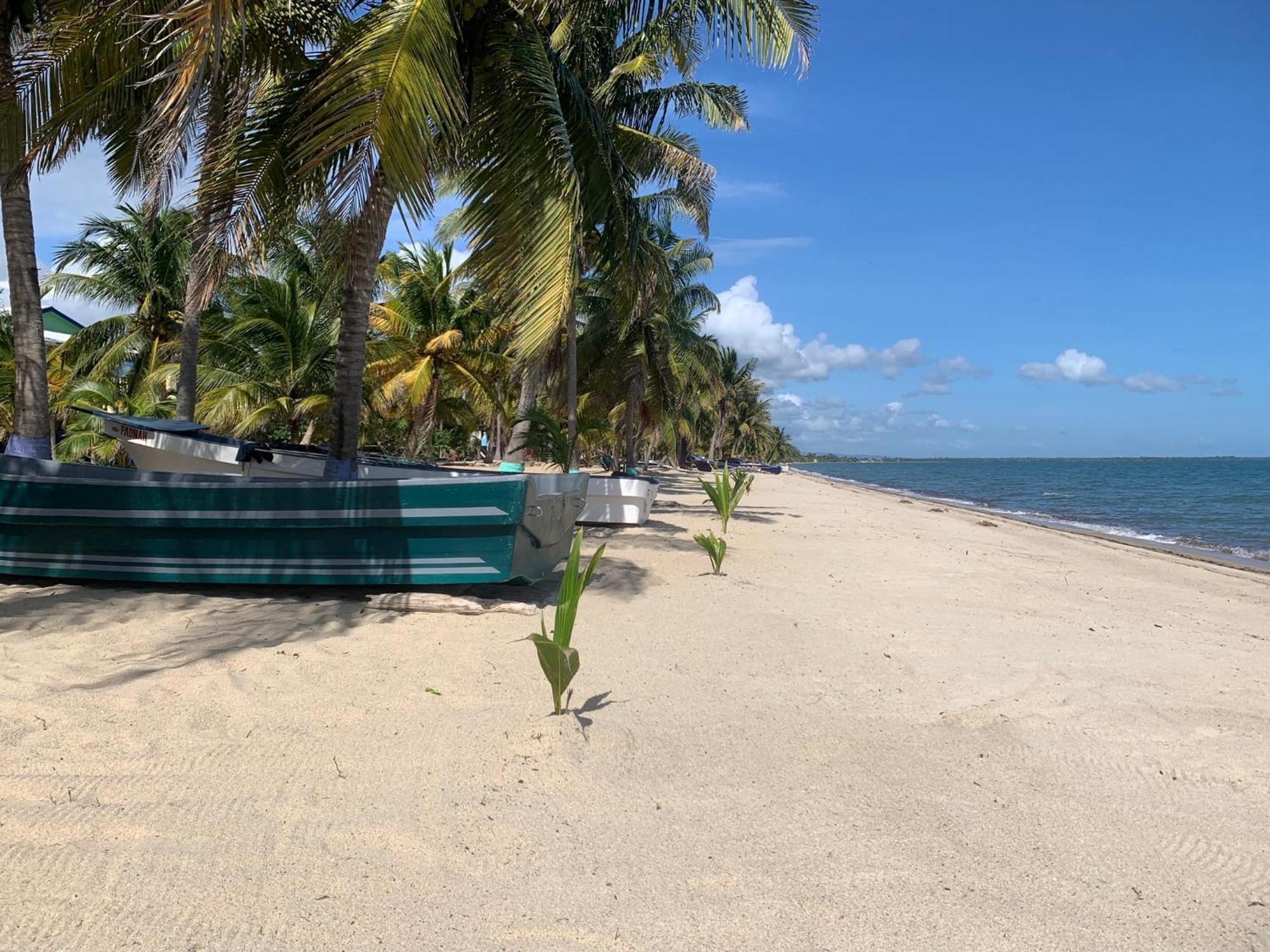 All Seasons Belize Hopkins Extérieur photo